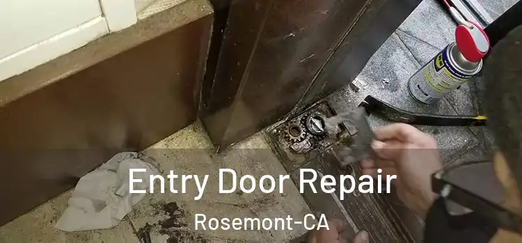  Entry Door Repair Rosemont-CA