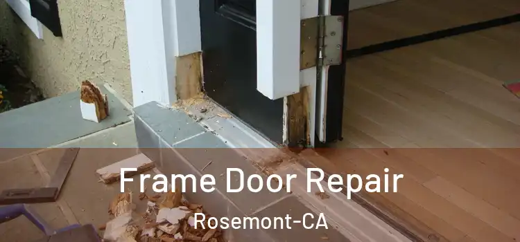  Frame Door Repair Rosemont-CA