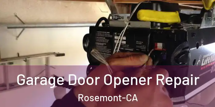  Garage Door Opener Repair Rosemont-CA