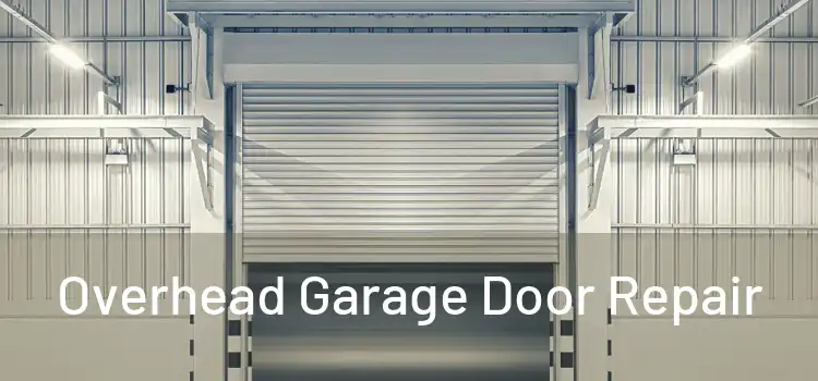  Overhead Garage Door Repair 