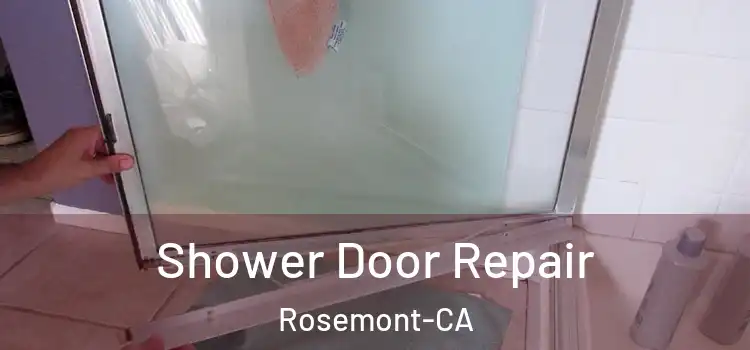  Shower Door Repair Rosemont-CA